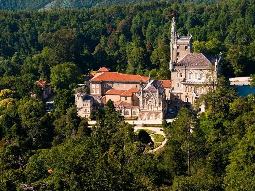 Bussaco (Buçaco) Ormanı