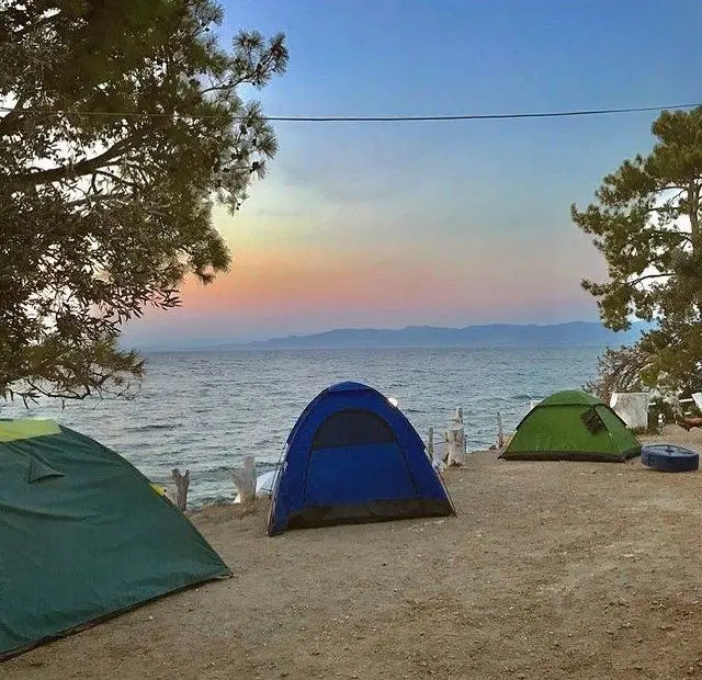 Çam Camping