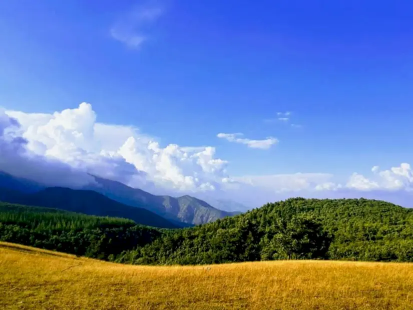 Çardak Yaylası - Hassa/Hatay görünümü