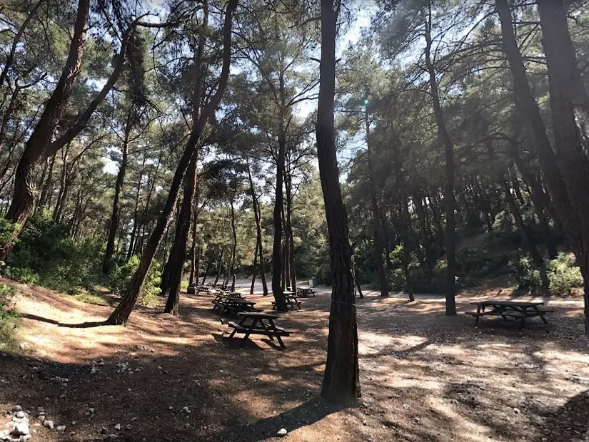 cicekli-tabiat-parki