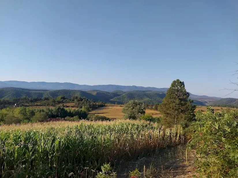 Çınarlıdere Yaylası - Dursunbey/Balıkesir