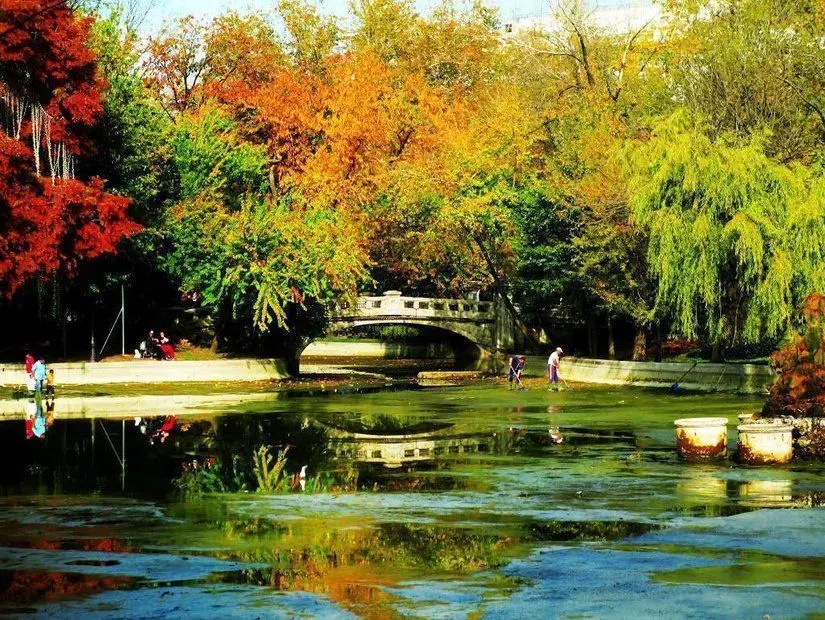 güneşli bir günde Bükreş, Romanya'daki Cismigiu Bahçesi'nin (Gradina Cismigiu) girişinde çiçekleri olan manzara