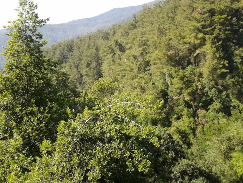 Çökek Yaylası - Dörtyol/Hatay görünümü