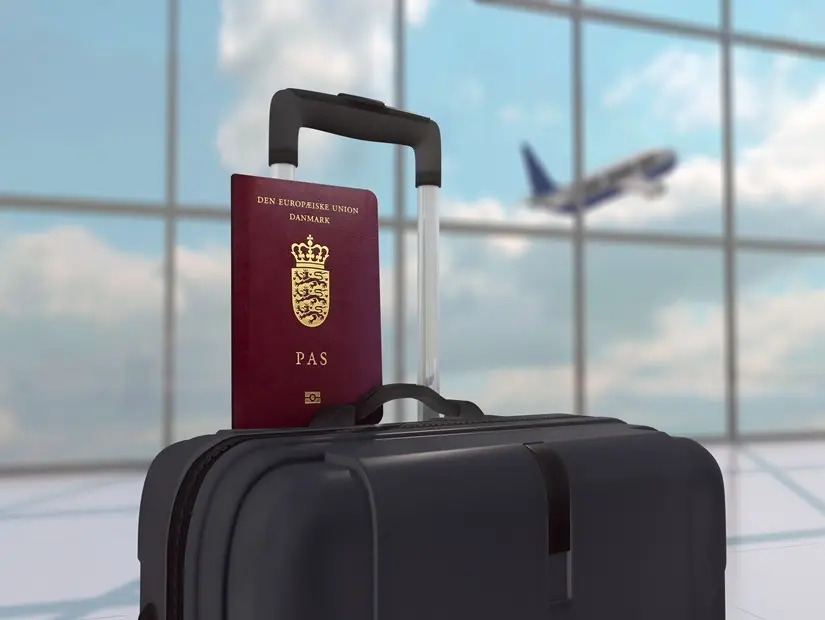 Siyah Bagaj Çantasında Danimarka Pasaportu 