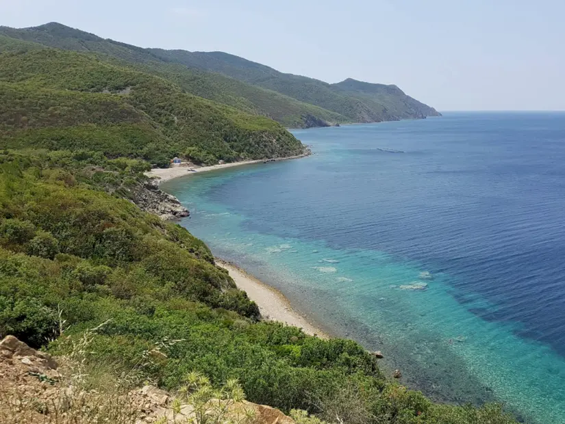 Değirmendüzü Koyu görünümü