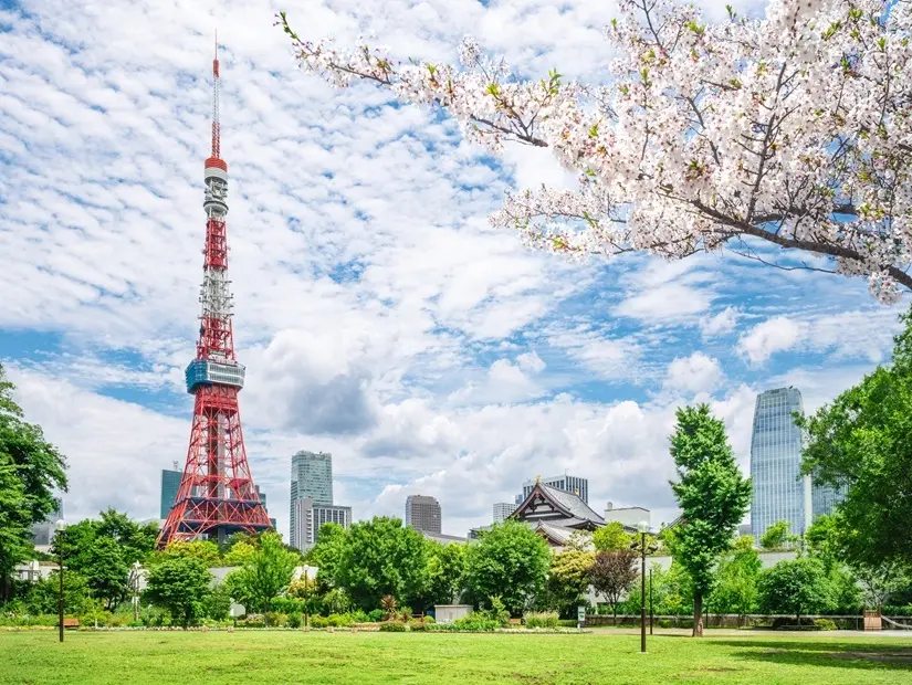 Japonya'nın Tokyo şehrinde bulunan zojoji ve tokyo kulesinin ana salonu