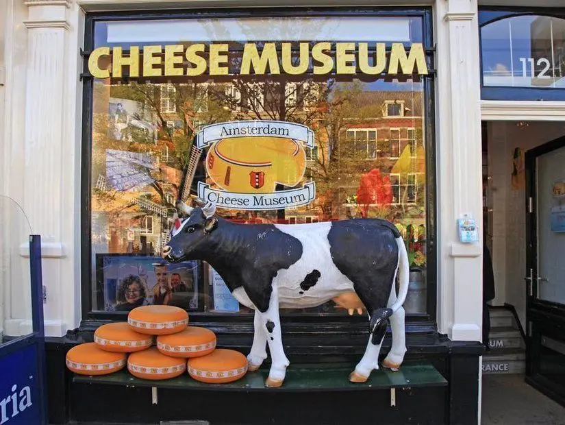 Dutch Peynir Müzesi – Hollanda