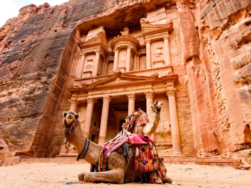 Petra El Hazneh (Hazine) önünde iki güzel deve muhteşem görünümü.