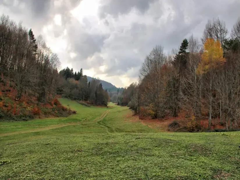 Ercova Yaylası - Pamukova/Sakarya görünümü