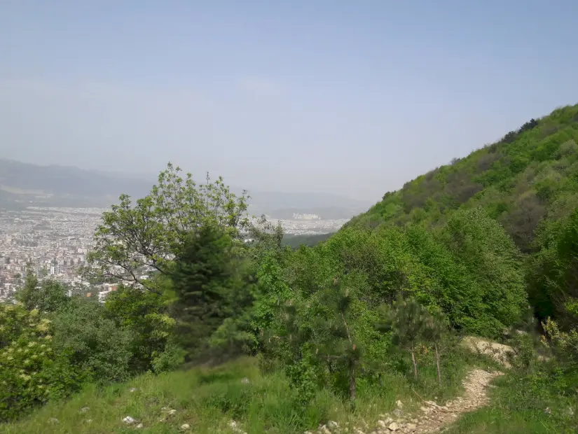 Erikli Yayla manzara görünümü