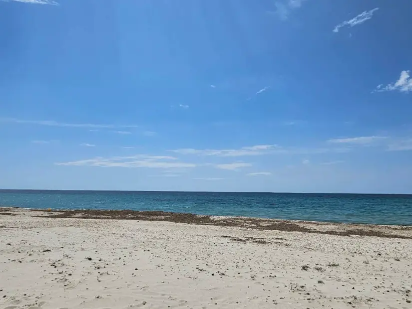 Evros Delta Plajı görünümü