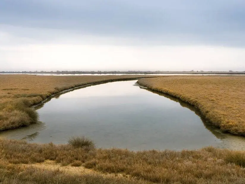 Evros (Meriç) Deltası Milli Parkı görünümü