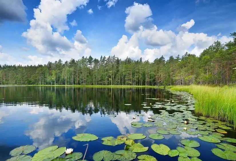Finlandiya Göl