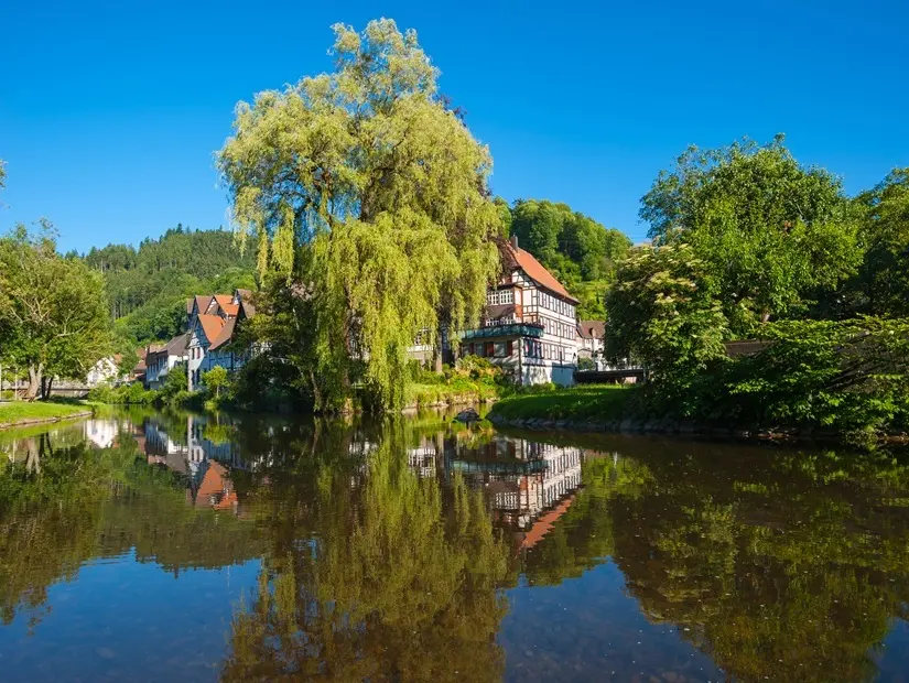 Schiltach ve Kinzig nehirlerinin birleştiği noktadaki salcı çayırında tarihi yarı ahşap evler, Schiltach, Kara Orman, Baden-Württemberg, Almanya