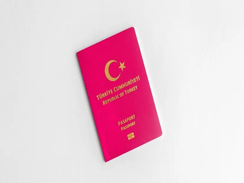 pasaport arasında tl banknotları