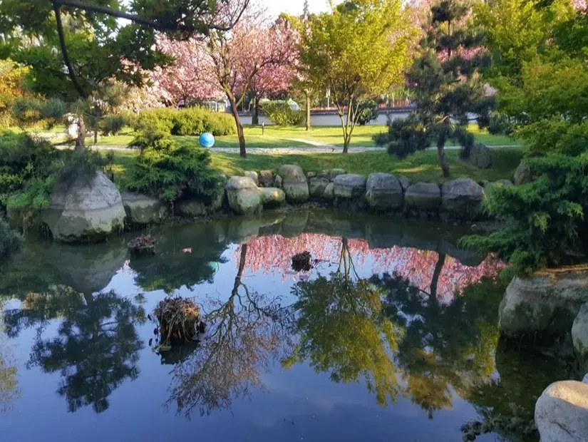 İBB Japon Bahçesi görünümü