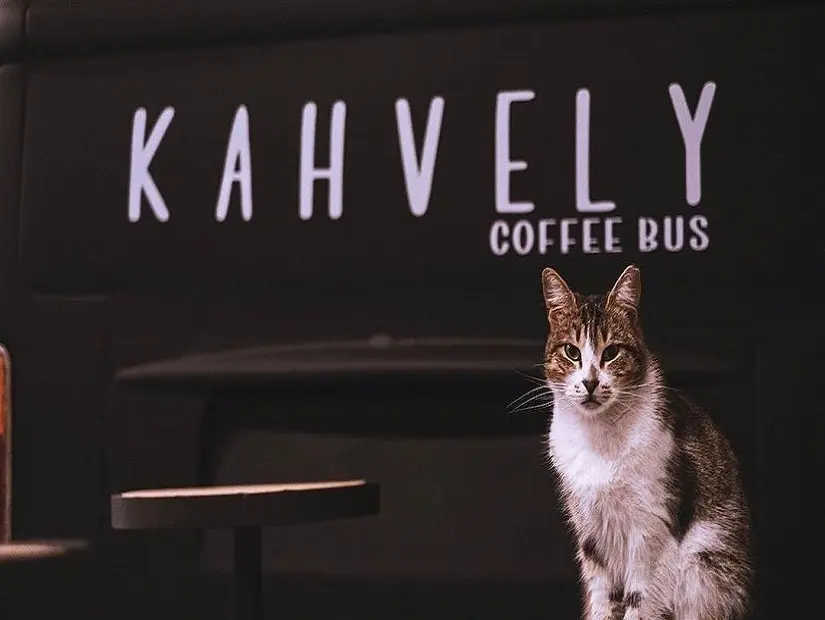kahvely-coffeeshop-