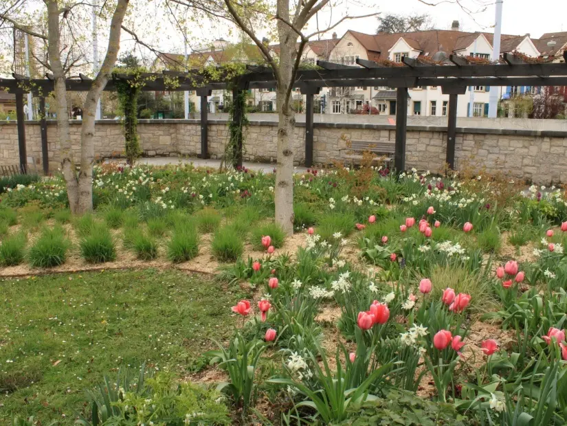 Kannenfeldpark görünümü