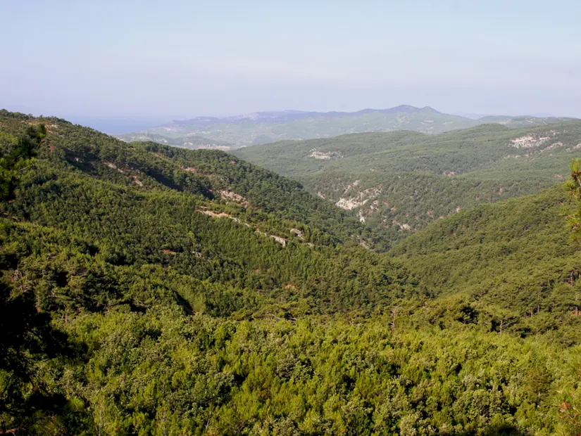 Kaz dağları görünümü