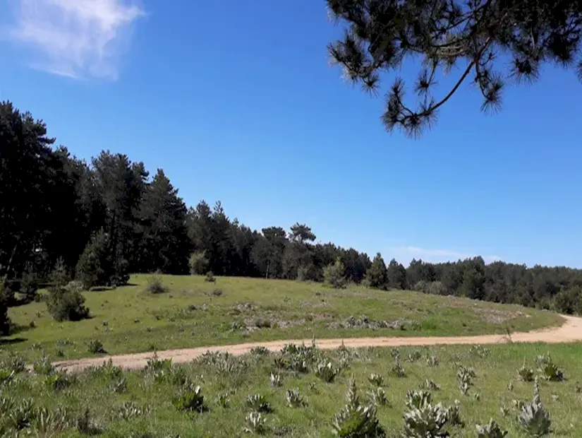 Ketenlik Yaylası güneşli günde görünümü