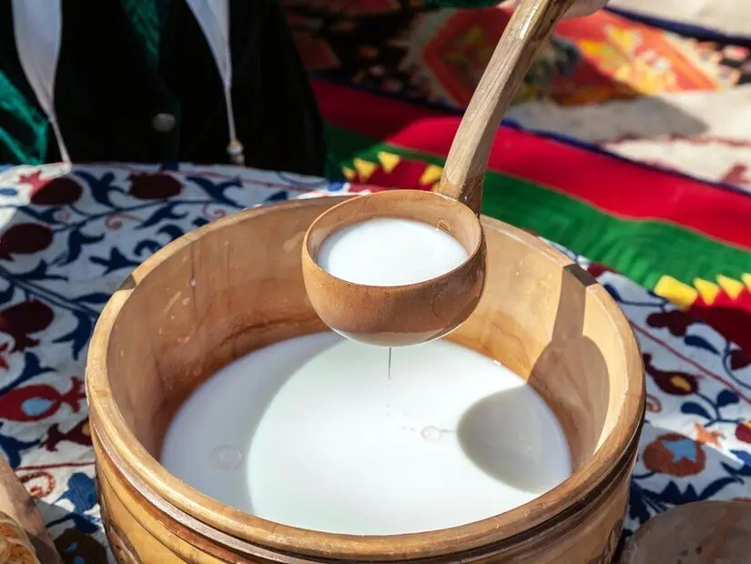 Kımız