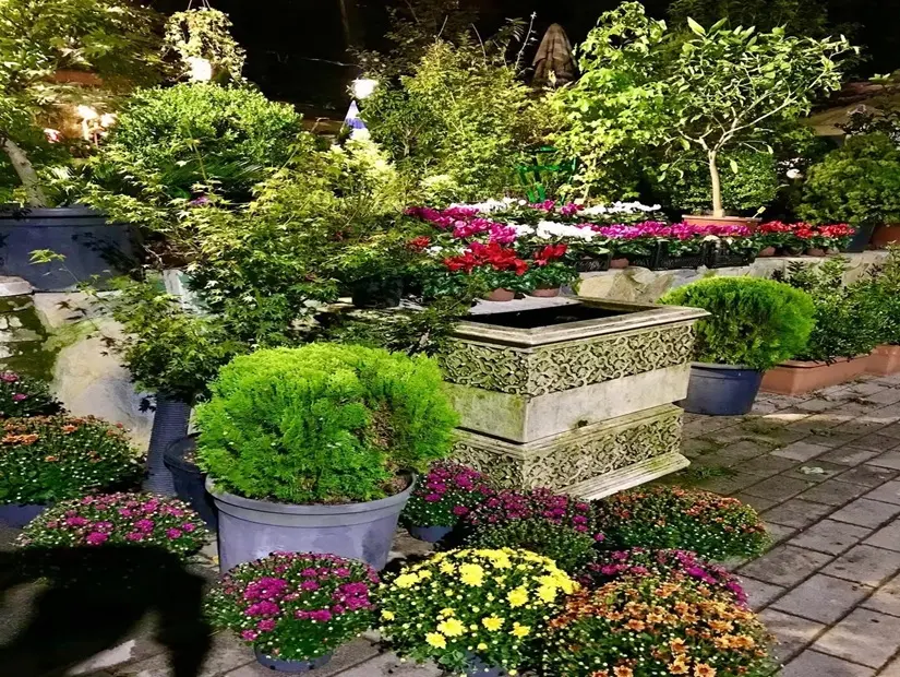 Kuzguncuk Botanik Bahçesi