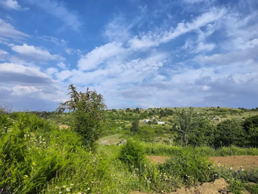 Madran Çatal Yaylası - Çine/Aydın