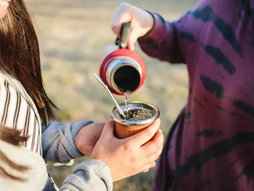Mate (Yerba mate)