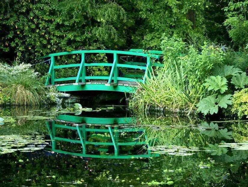 Monet bahçe