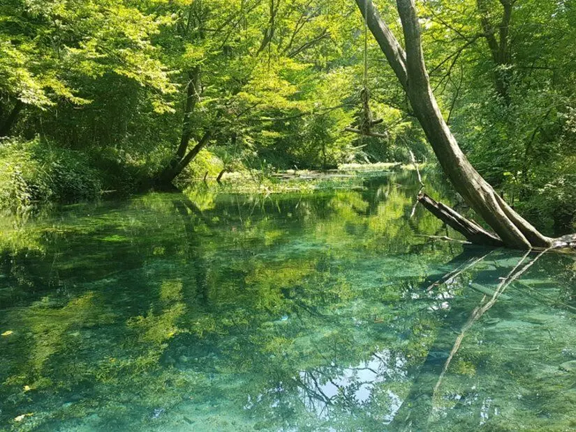 Nabran'ın güzel doğası, yeşil gölü, ağaçları, çimenleri ve ormanları