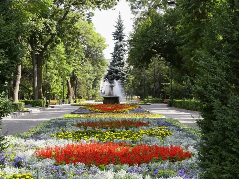 Oak Park görünümü
