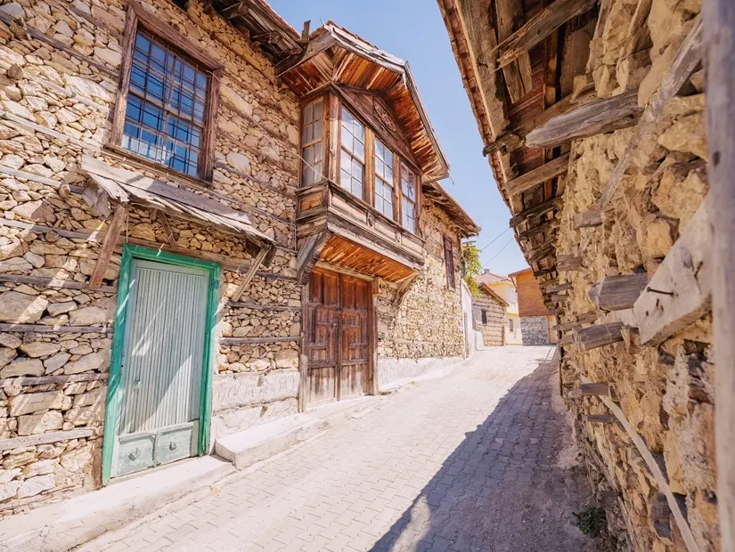 Türkiye'nin Ormana beldesi görünümü
