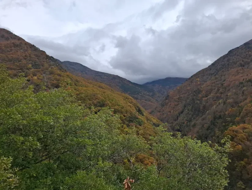 Pekmezci Yaylası - Dörtyol/Hatay görünümü