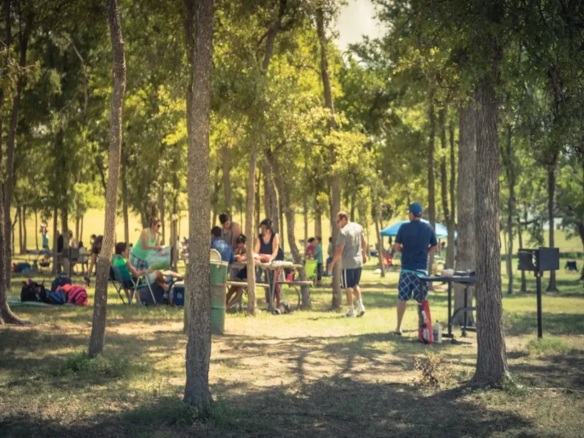 İstanbul Emirgan Parkı'nda ağaçların gölgesinde çimlerin üzerinde piknik masaları görünümü