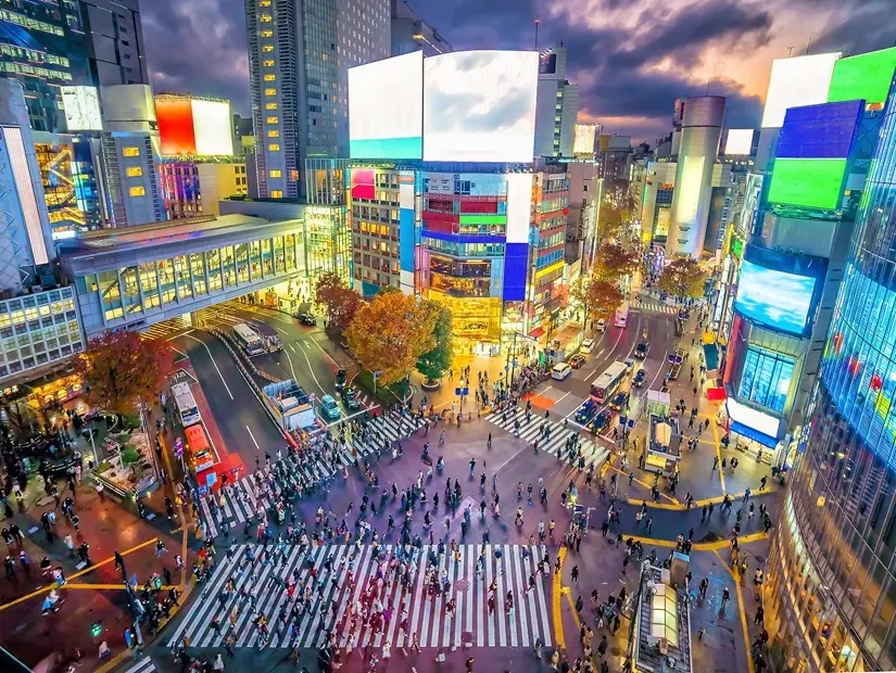 Shibuya Tokyo, Japonya'da alacakaranlıkta yukarıdan geçiş