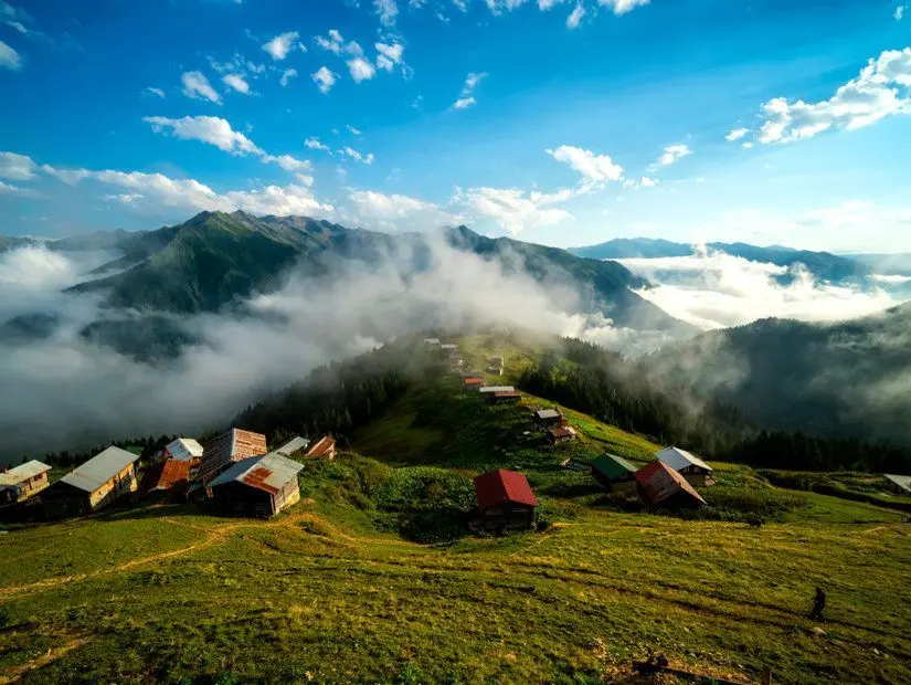 Rize