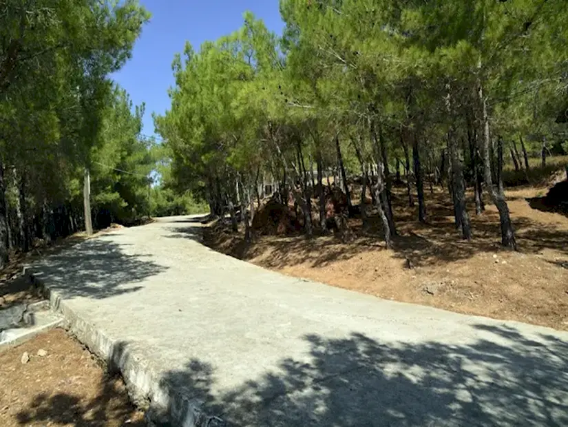 Sarımsaklı Tabiat Parkı iç görünümü