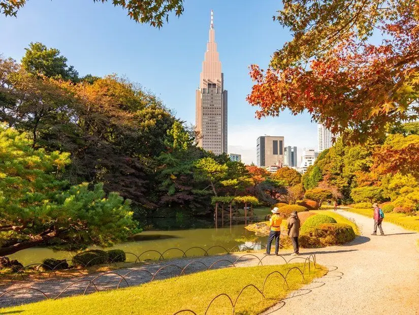 Sonbaharda Tokyo, Japonya'da Shinjuku Gyoen bahçeleri