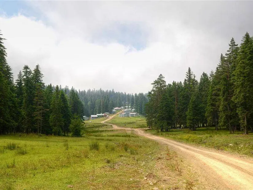 Kırtık (Sinekli) Yaylası - Burhaniye/Balıkesir