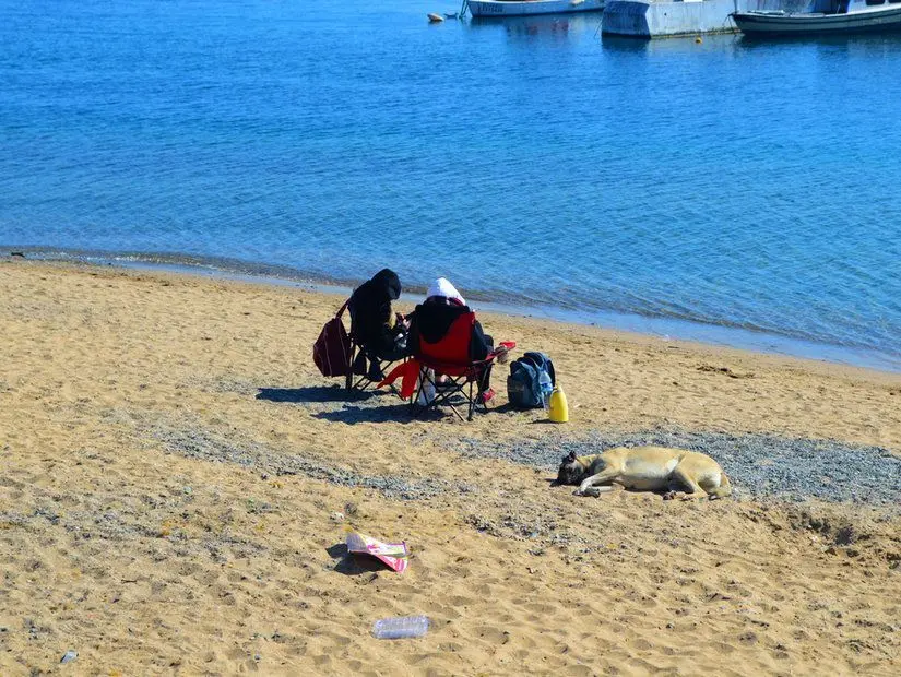 Suadiye Plajı'nda dinlenen insanlar