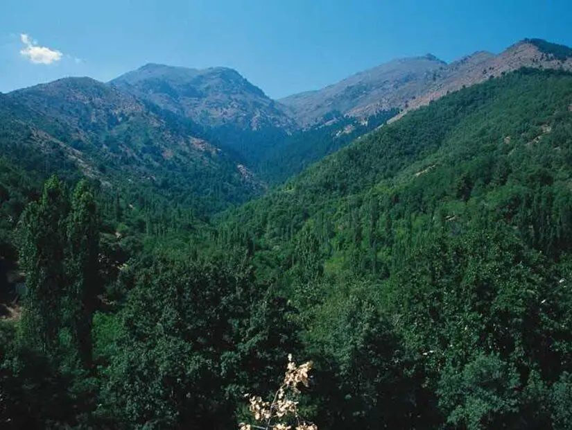 Taşdelen Yaylası- Seydikemer/Denizli havadan görünümü