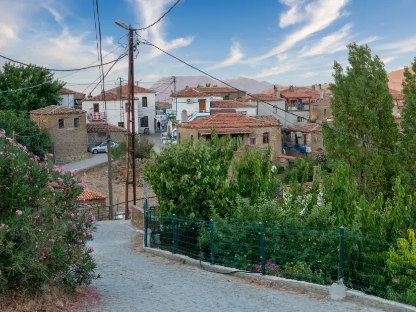 Tepeköy (Agridia), Kuzey Ege'nin Gökçeada (İmbros) adasında yer alan ünlü bir tarihi Rum köyü