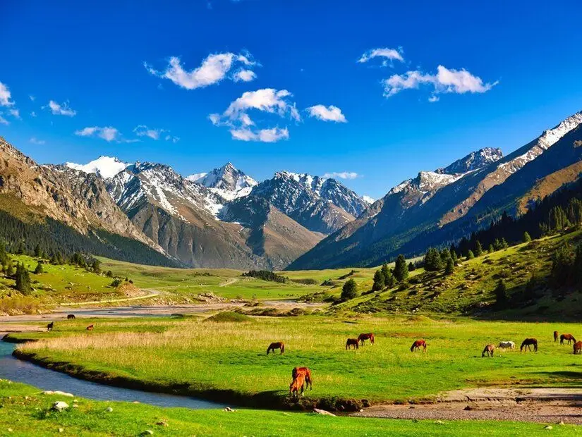 Kırgızistan'daki Tien-Shan dağlarının eteklerinde, atların ve nehrin bulunduğu güzel yeşil dağ çayırları.