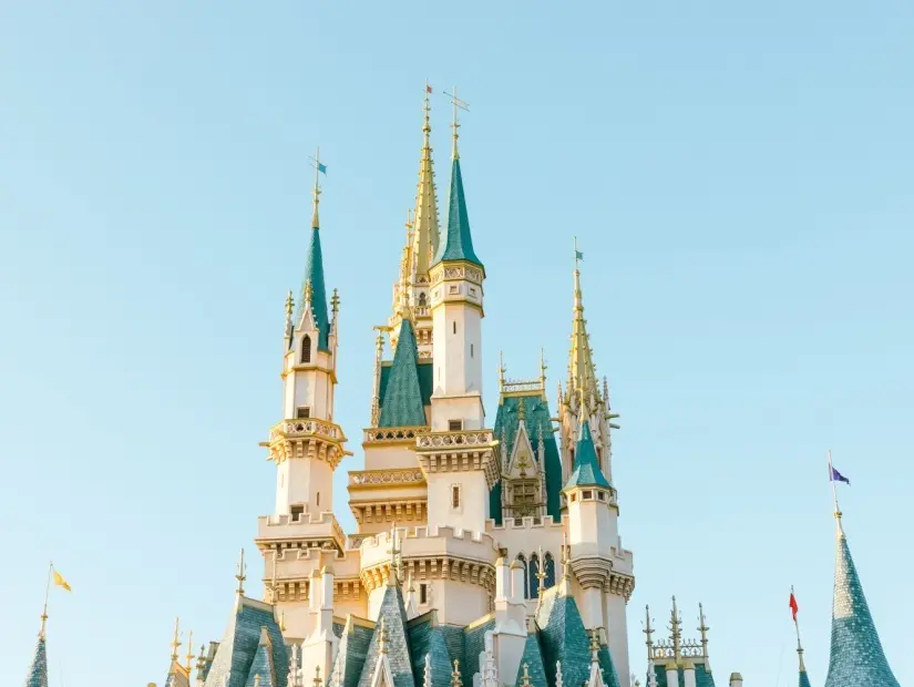 Tokyo Disneyland görünümü