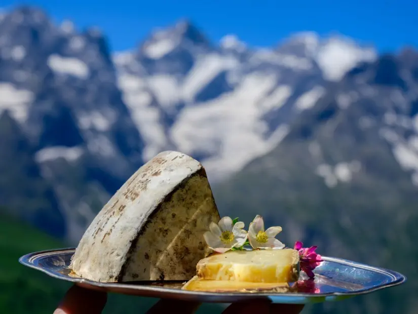 Fransız Alpleri'ndeki Savoy bölgesinden Tomme de Savoie peyniri