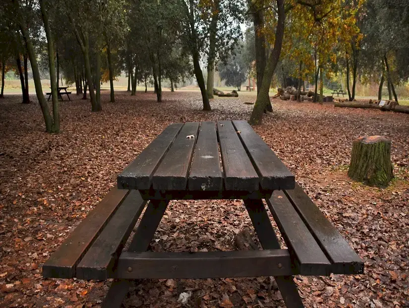 turkcell platinum park ağaçlarla çevrili piknik alanı