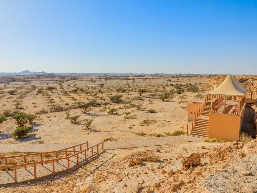 Tütsü Yolu (Frankincense Trail) görünümü