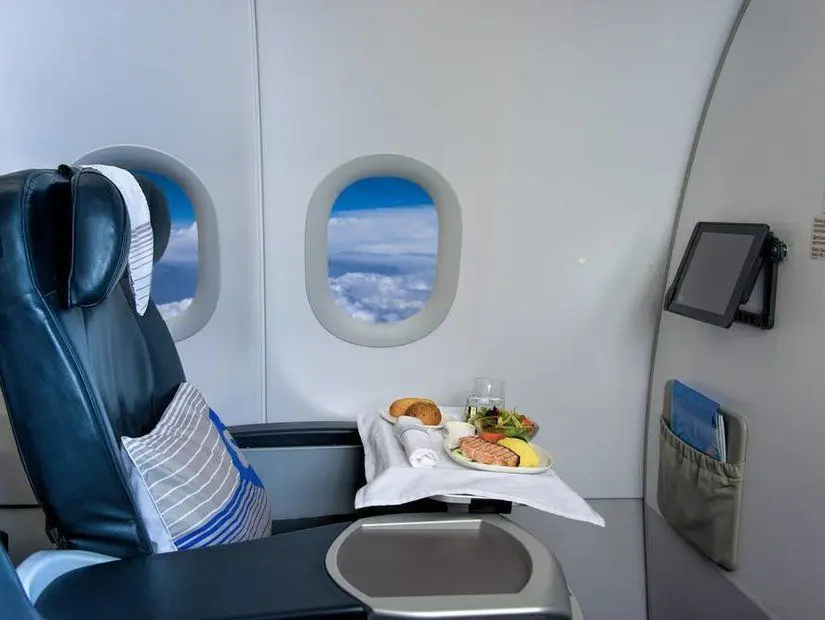 Yemekli Uçak Koltuğu