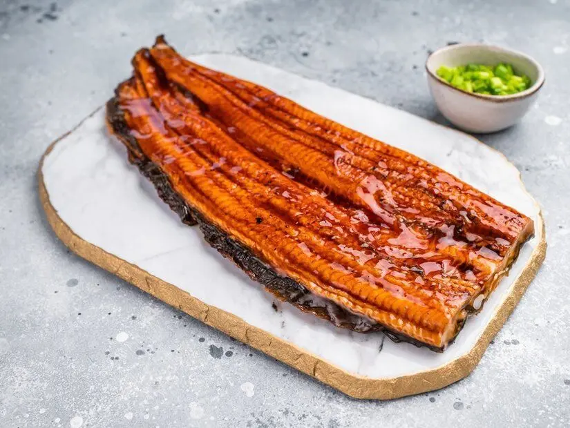 Unagi (Yılan balığı) görünümü