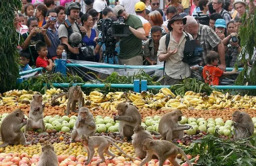 Maymun Ziyafeti Festivali